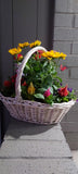 Garden Blooming Baskets