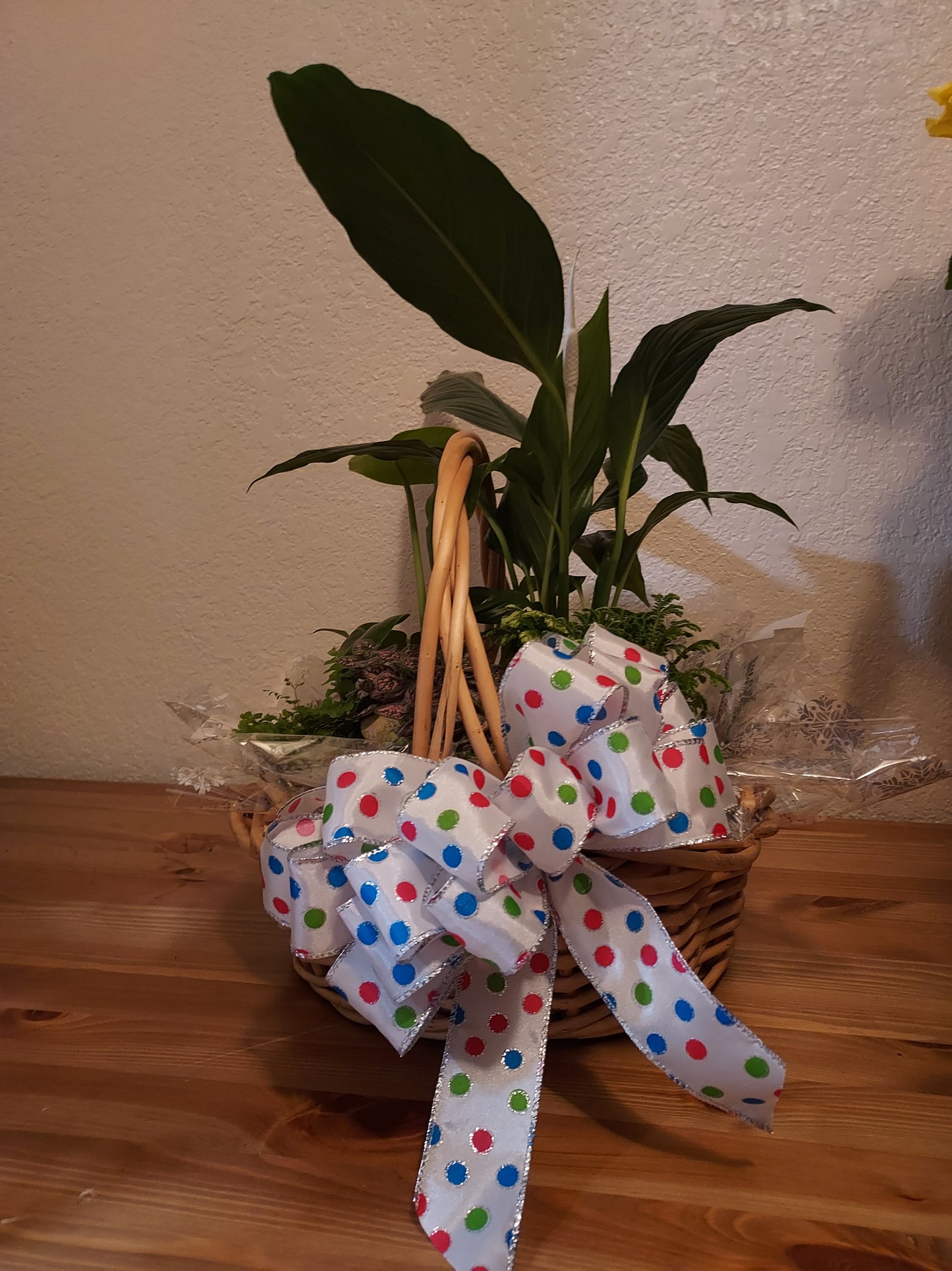 Garden Plant 6"