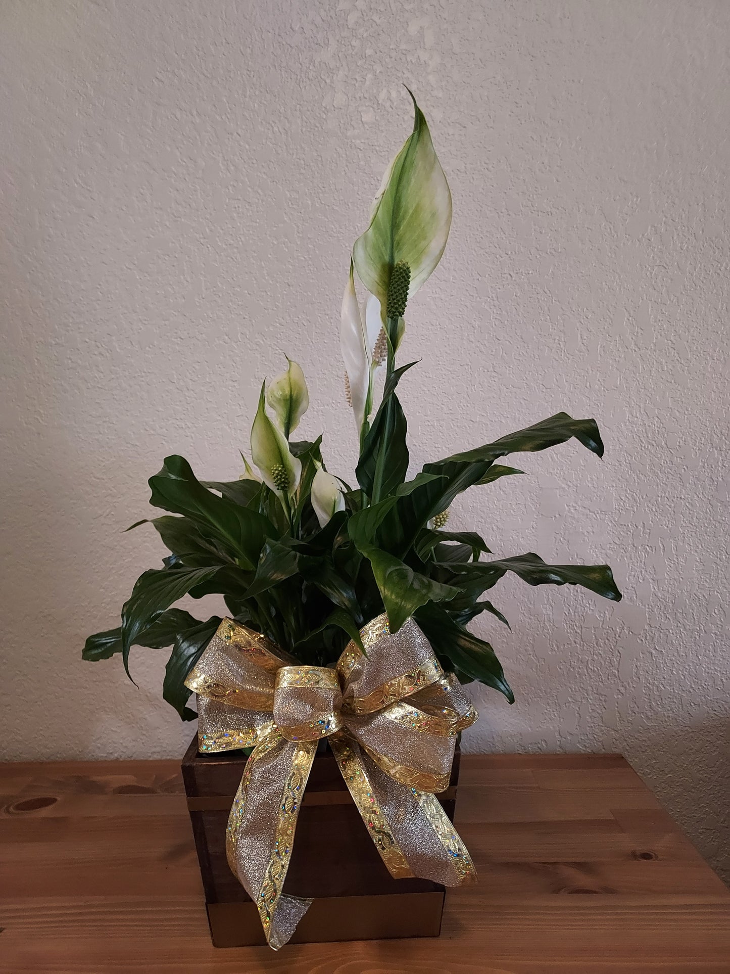 Garden Plant 6"