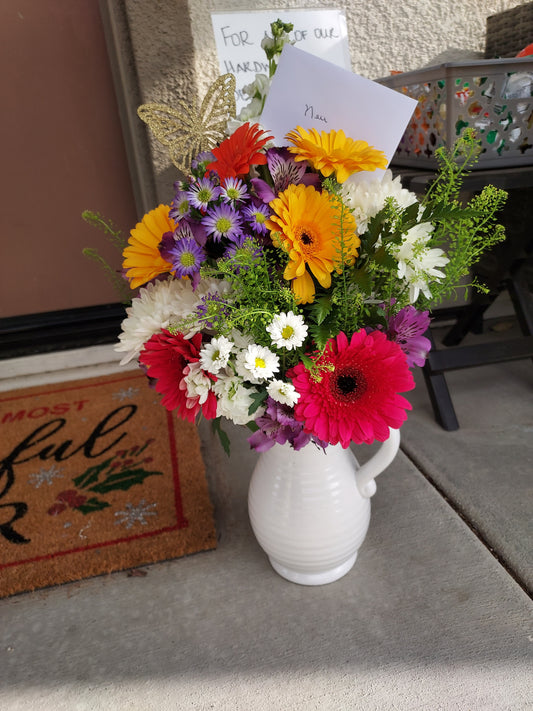 Gerber Daisies