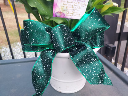 Garden Plant 6"