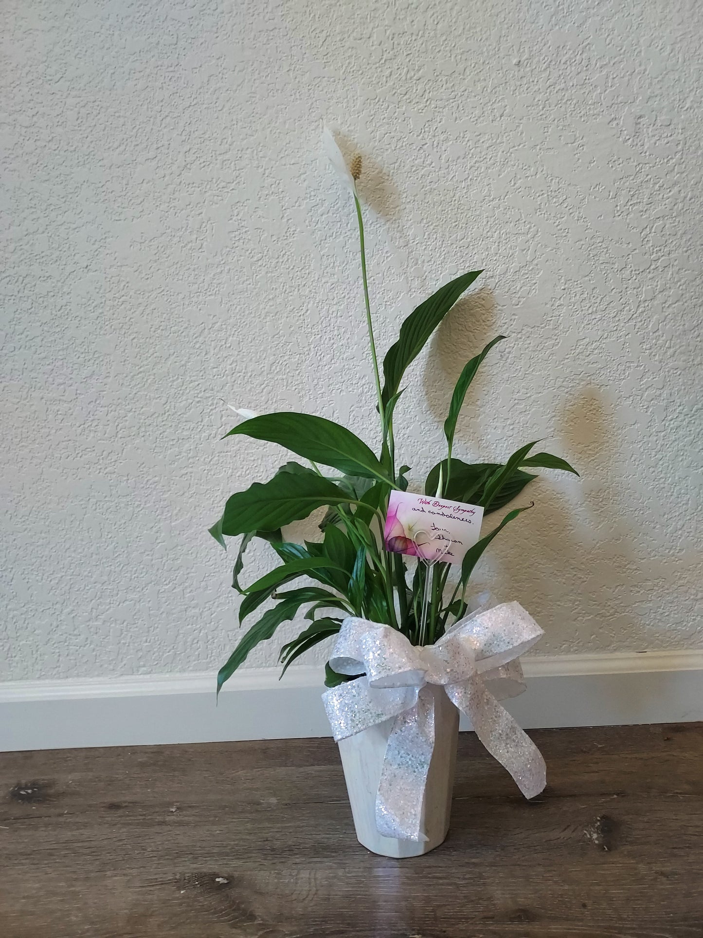 Garden Plant 6"