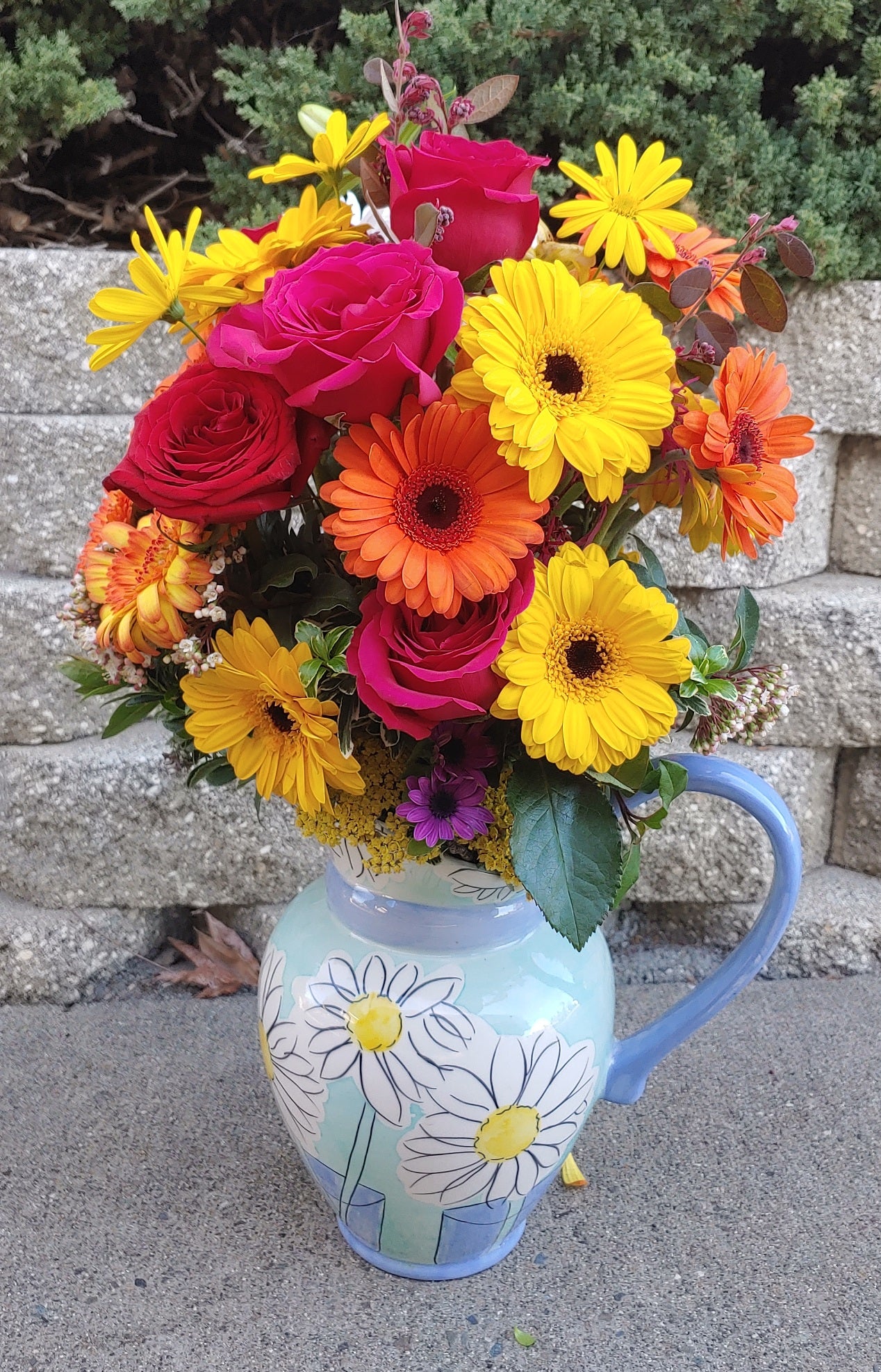 Gerber Daisies